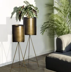 Blumentopf FineBuy Pflanzenkübel 2er Set Metall Gold Rund Pflanzgefäß Hoch Eisen
