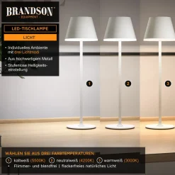 Brandson LED Tischleuchte mit Akku, Kabellos, mit Touch, Helligkeit stufenlos dimmbar, aus Metal, Dimmfunktion; Ein-/Ausschalter; Farbwechsel; mehrere Helligkeitsstufen, LED fest integriert, Kaltweiß, Neutralweiß, Warmweiß, Tischlampe, Nachttischlampe, Les