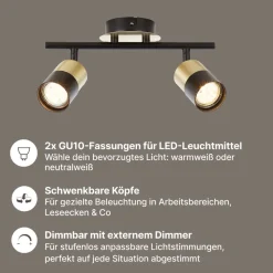 Brilliant Maribel Spotrohr 2-flammig - Gebürstetes Messing & Schwarz | Schwenkbare Köpfe | Dimmbar | Retro-Design | Für Decken- & Wandmontage