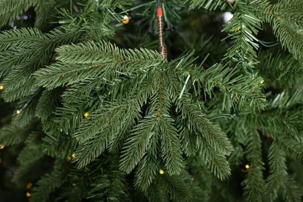 Evergreen Weihnachtsbaum Roswell Kiefer 210 cm