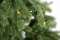 Evergreen Weihnachtsbaum Roswell Kiefer 210 cm