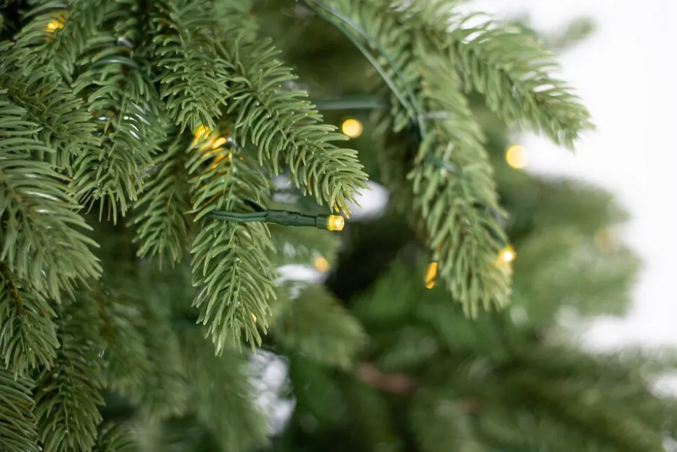 Evergreen Weihnachtsbaum Roswell Kiefer 210 cm