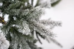 Evergreen Weihnachtsbaum Sherwood Fichte 180 cm