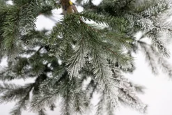 Evergreen Weihnachtsbaum Sherwood Fichte 180 cm