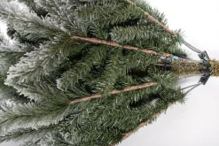 Evergreen Weihnachtsbaum Sherwood Fichte 180 cm
