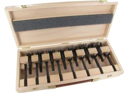 Famag Forstnerbohrer Satz WS-Bormax 2.0 15-teilig, Holzbohrer mit Zentrierspitze