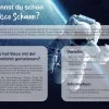 Hn8 Schlafsysteme Schlafschön T-400 (90x190) (H2)