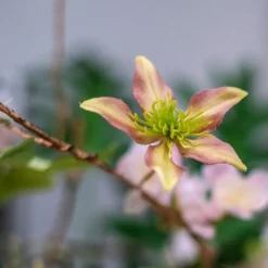 HTI-Living Blumengirlande 106 cm Kunstblume Flora