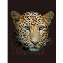 Kinzler Digitalbedruckte Wohndecke Leopard, 150 x 200 cm