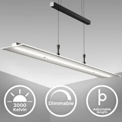 LED Pendelleuchte, schwarz, 1xLED-Platine/20W