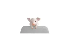 möbel direkt online Deko-Ferkel "Biggi" naturfarben