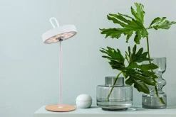 Näve LED-Akku-Tischleuchte