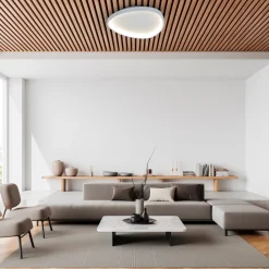Näve LED / CCT Deckenleuchte "ARGESA" Inkl. Meteor-Licht L/B: 60,5cm