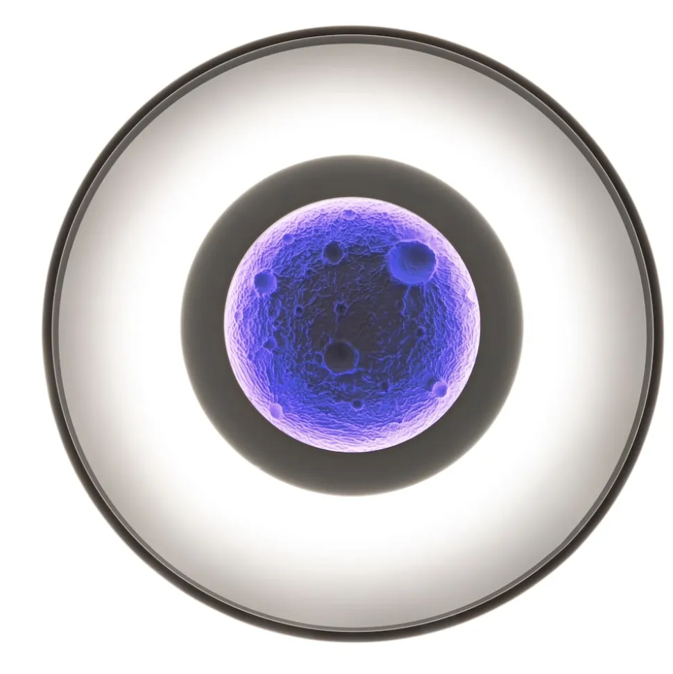 Näve LED / CCT / RGB Deckenleuchte "LIVANA" Ø: 70cm