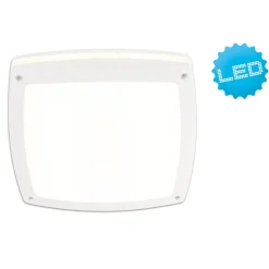 Näve LED Wand- Deckenleuchte "Außen"