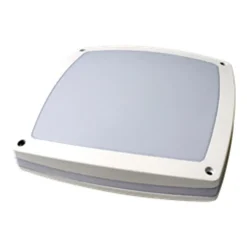 Näve LED Wand- Deckenleuchte "Außen"