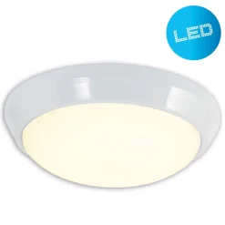 Näve LED Wand- Deckenleuchten