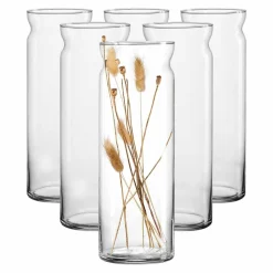 Ritzenhoff & Breker Vasen Dalia 35 cm 6er Set