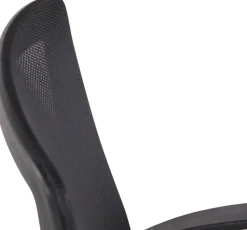 TPFLiving Bürostuhl Kamira mit Netzbezug Schwarz/Schwarz