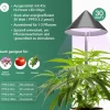 VENSO LED Pflanzenlampe Vollspektrum CANNA SUNLiTE, 30W Parus Grow Light, Ausziehbarer Teleskopstab bis 170cm, Ideal für 1-2 Cannabis Pflanzen, Indoor Anzucht, 4000K, IP54, EU-Stecker